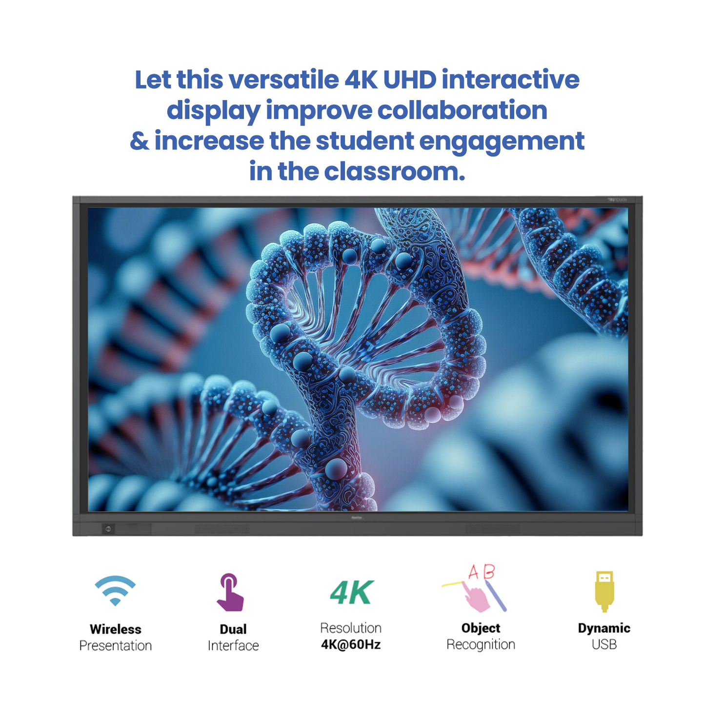 Newline Interactive Flat Panel - 75 Inch | 4K UHD Large Touchscreen for Business & Education