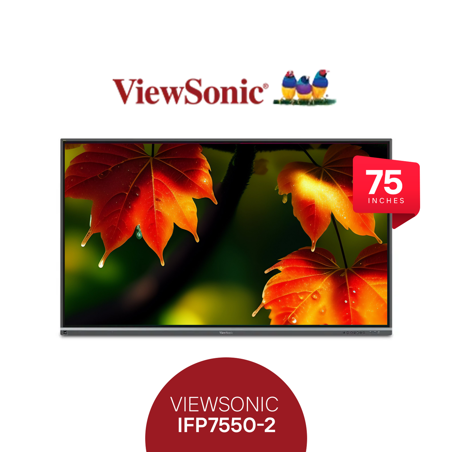 ViewSonic IFP7550-2 Interactive Flat Panel: The Ultimate 75-Inch Solution for Enhanced Collaboration and Communication